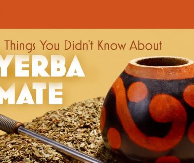 5 Things You Didn't Know About Yerba Mate