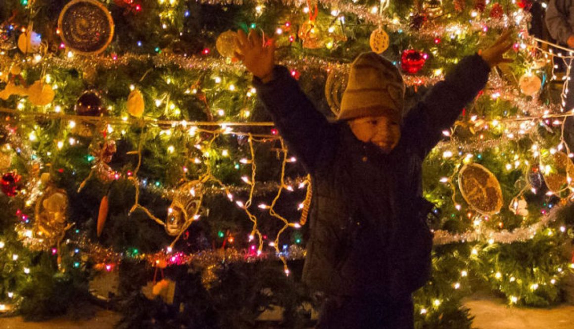 Mesilla Christmas Tree Lighting