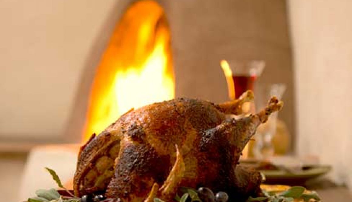 turkey-by-the-fire-merriam