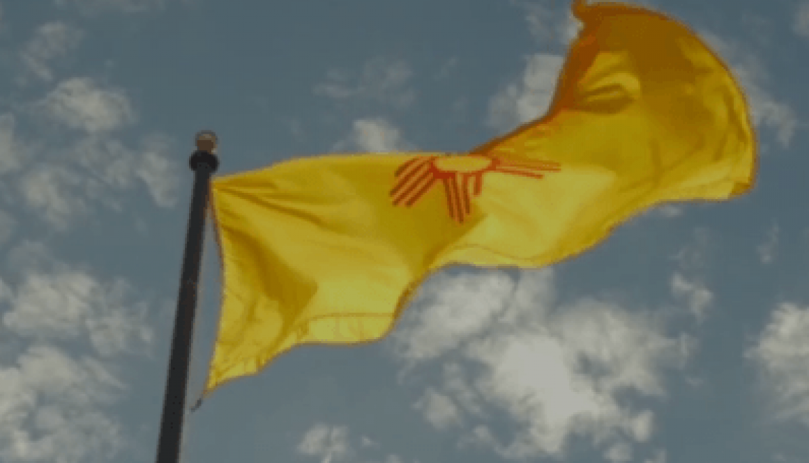 what-your-new-mexico