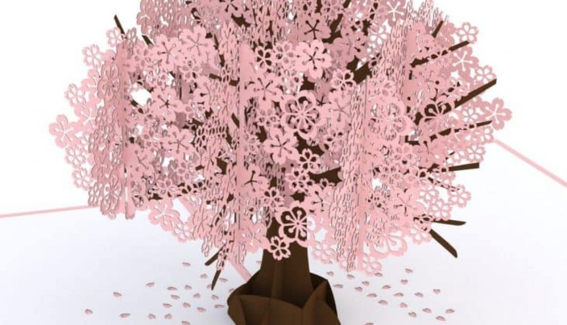 cherry-blossom-card