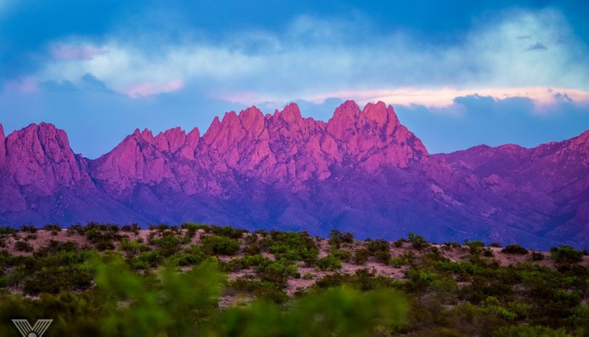 Organ Mountains