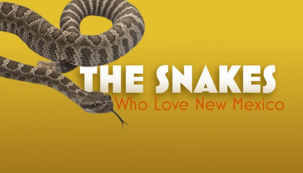The Snakes Who Love New Mexico