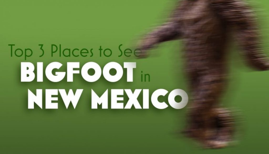 Top 3 Places To See Bigfoot in New Mexico