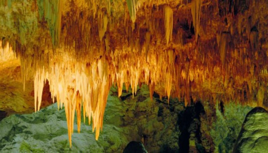 Carlsbad Caverns National Park