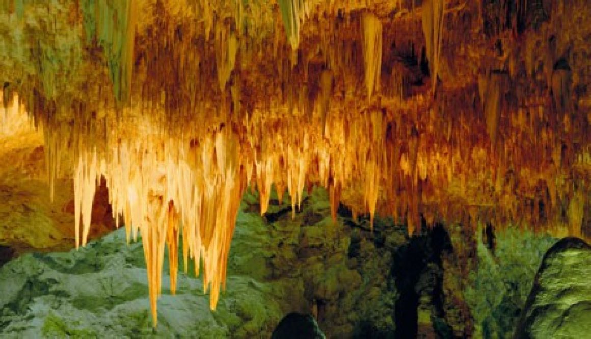 Carlsbad Caverns National Park