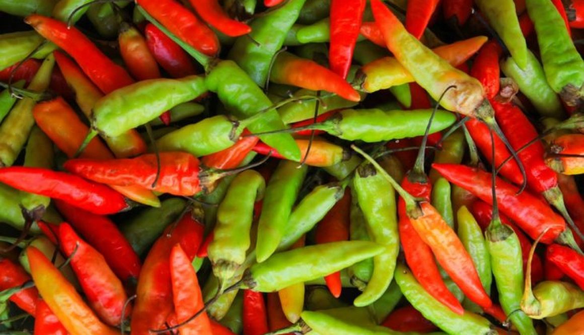 chilli-1345199_960_720