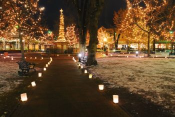 Holiday Lighting on the Plaza