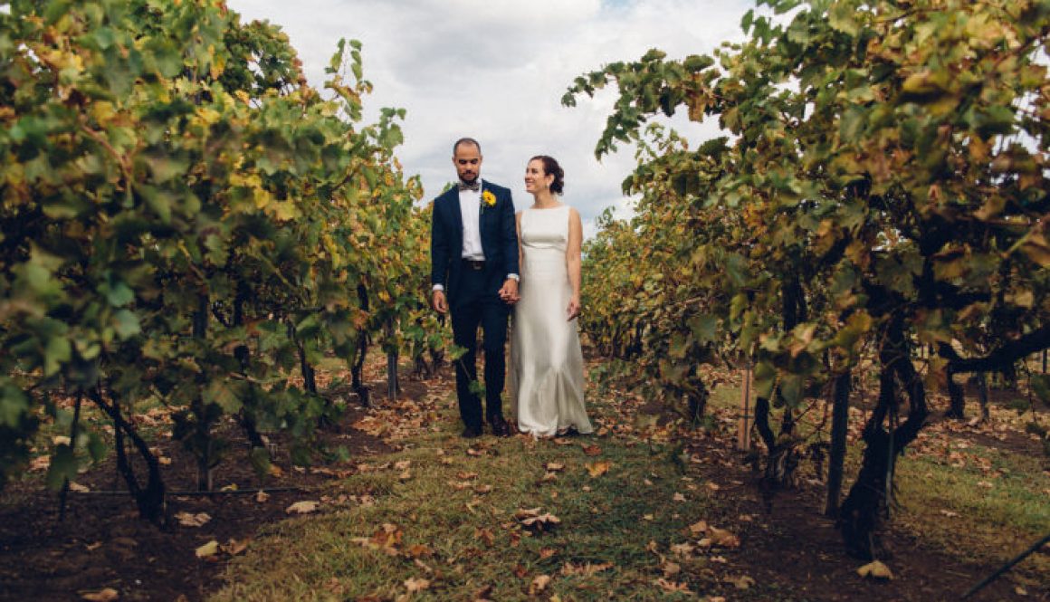 st-clair-las-cruces-wedding-5